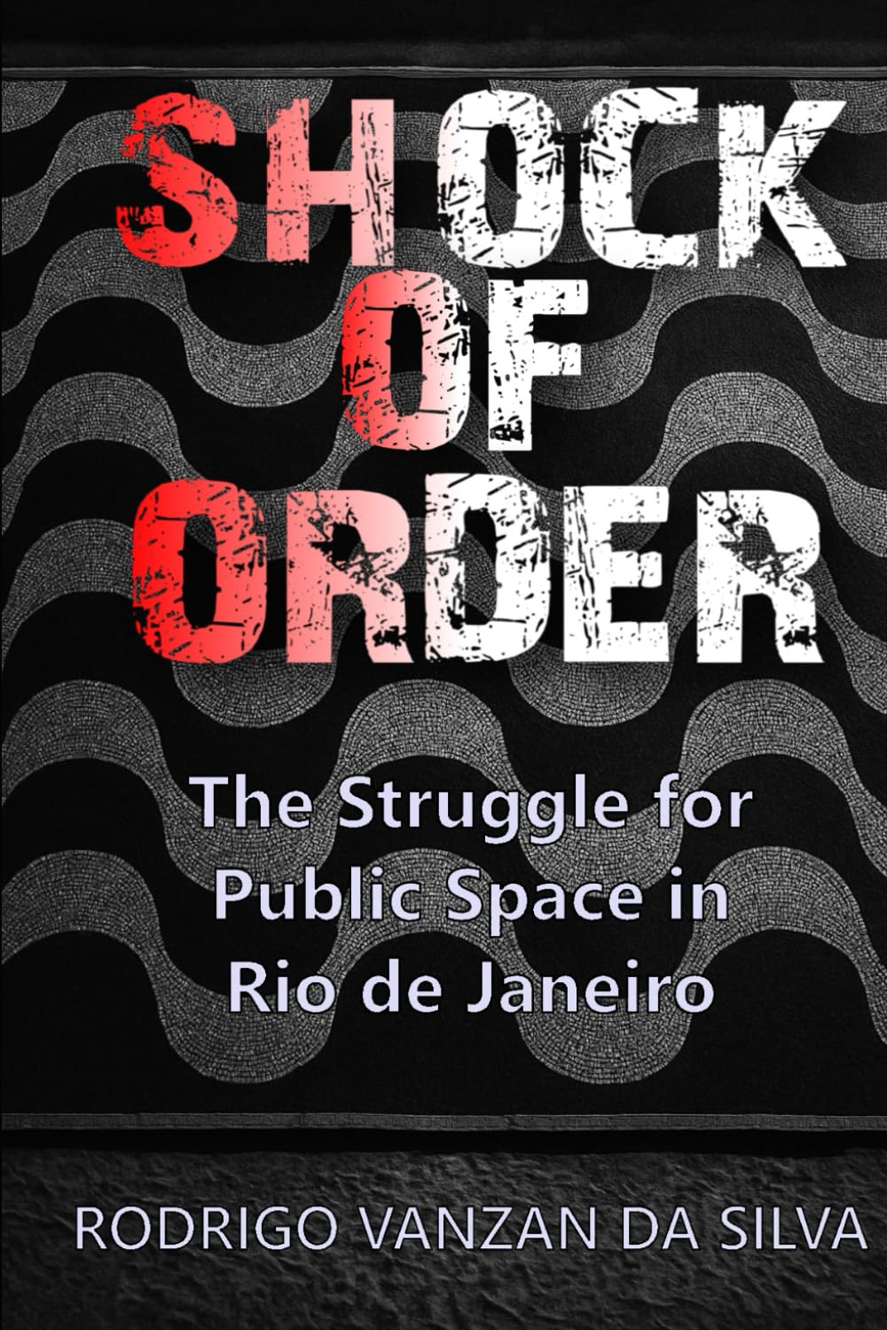 Shock of Order: The Struggle for Public Space in Rio de Janeiro baixar o livro de graça