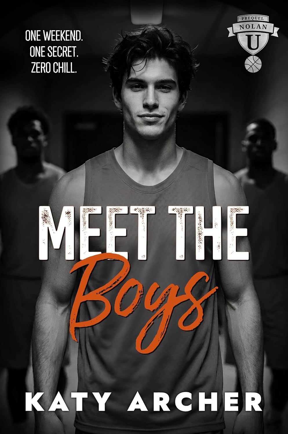Meet the Boys: A College Sports Romance (Nolan U Basketball Book 1) (English Edition) baixar livro de graça