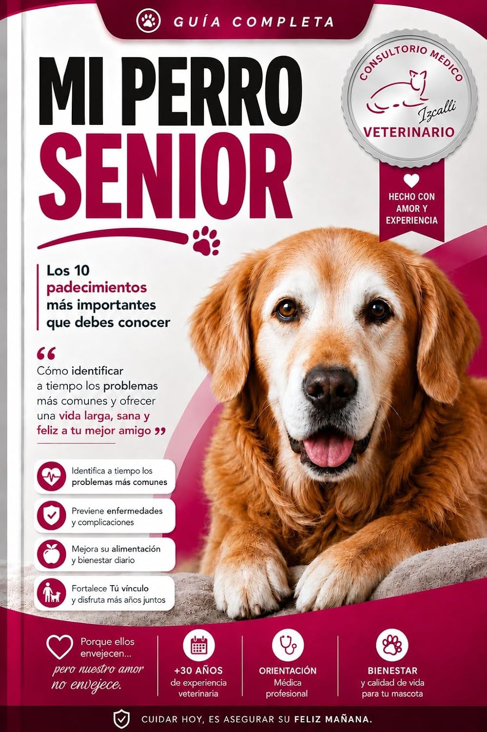 Mi Perro Senior: Guía completa para dueños de mascotas. (Spanish Edition) baixar o livro de graça