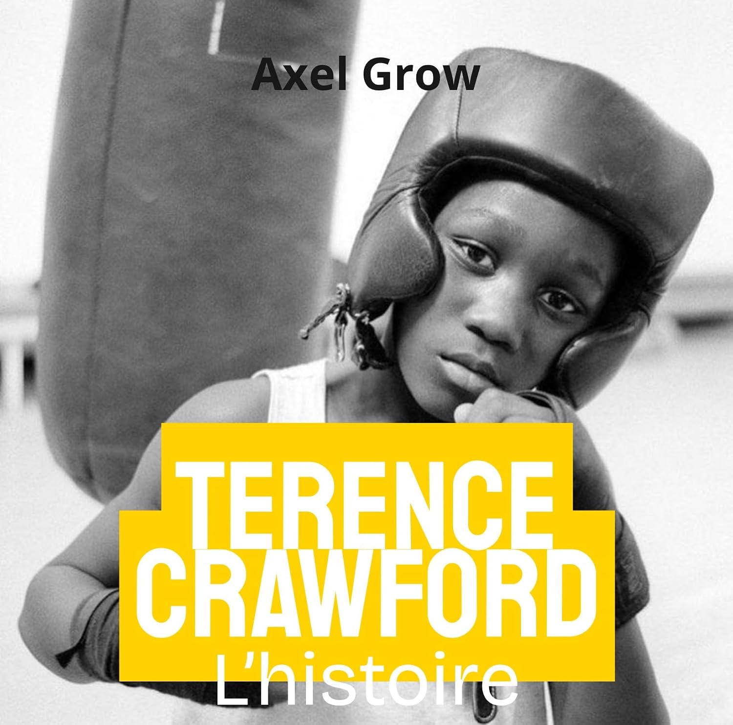 ler totalmente TERENCE CRAWFORD: L’INCONTESTÉ (French Edition)