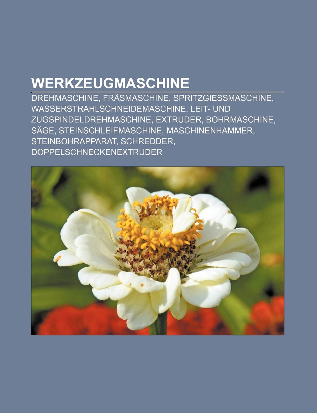 ler totalmente Werkzeugmaschine: Drehmaschine, Fräsmaschine, Spritzgießmaschine, Wasserstrahlschneidemaschine, Leit- und Zugspindeldrehmaschine, Extruder:... Schredder, Doppelschneckenextruder
