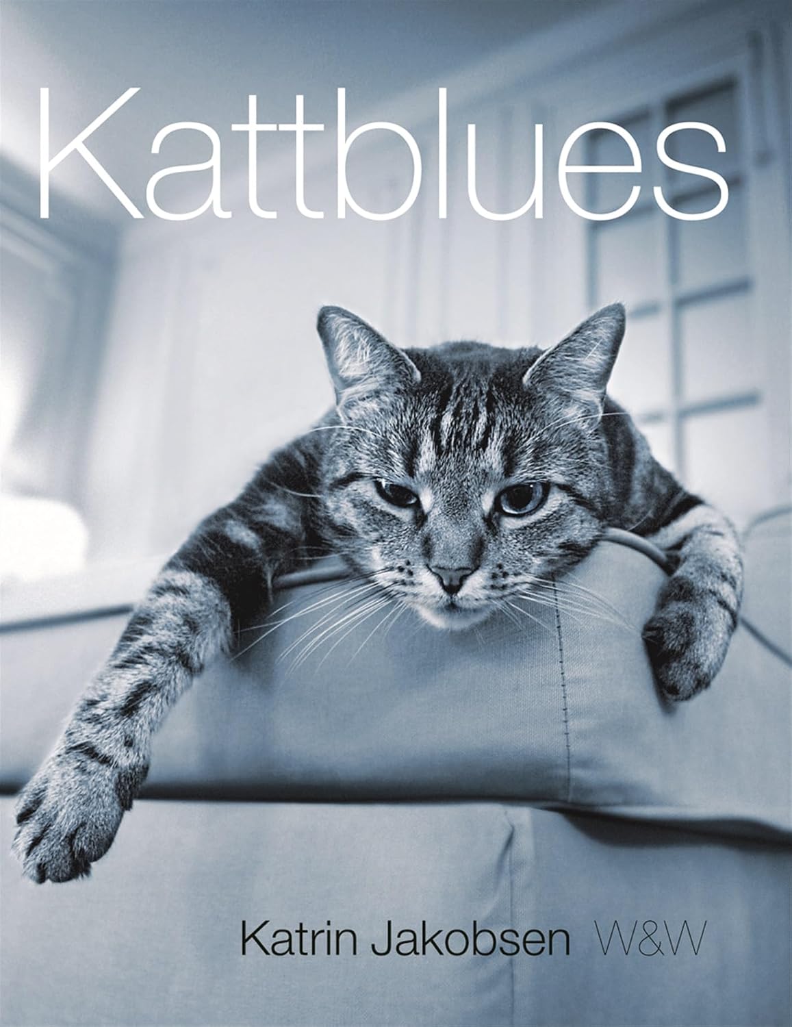 capítulo por capítulo baixar Kattblues