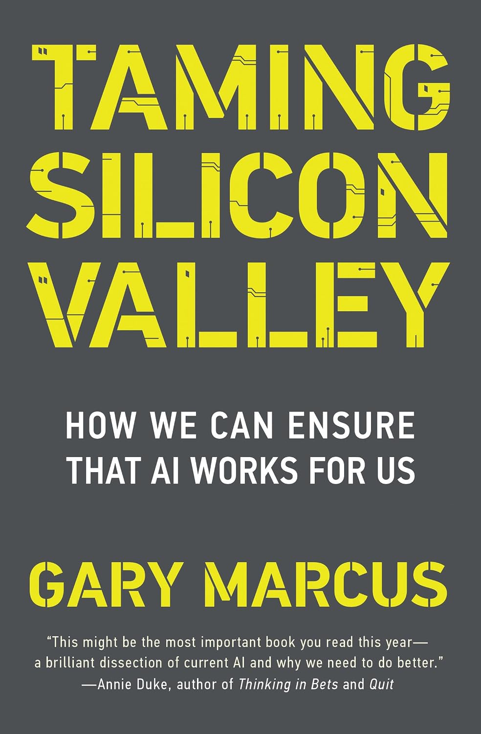 Taming Silicon Valley: How We Can Ensure That AI Works for Us baixar livro de graça
