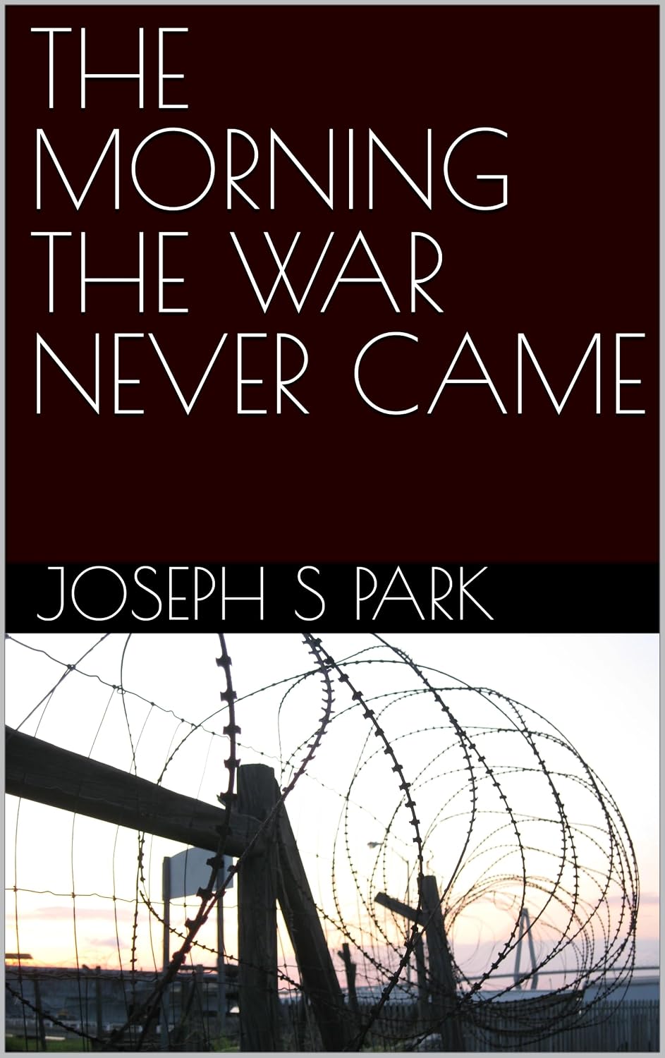 THE MORNING THE WAR NEVER CAME (English Edition) baixar o livro de graça