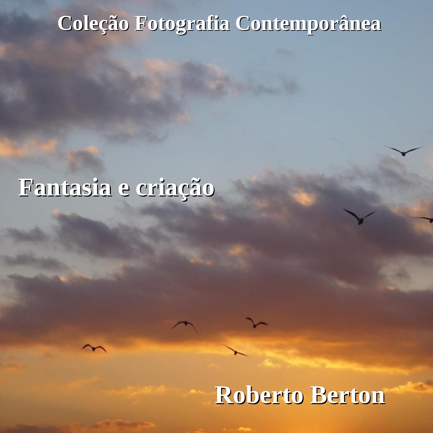 capítulo por capítulo baixar Fantasia e Criação (Coleção Fotografia Contemporânea)
