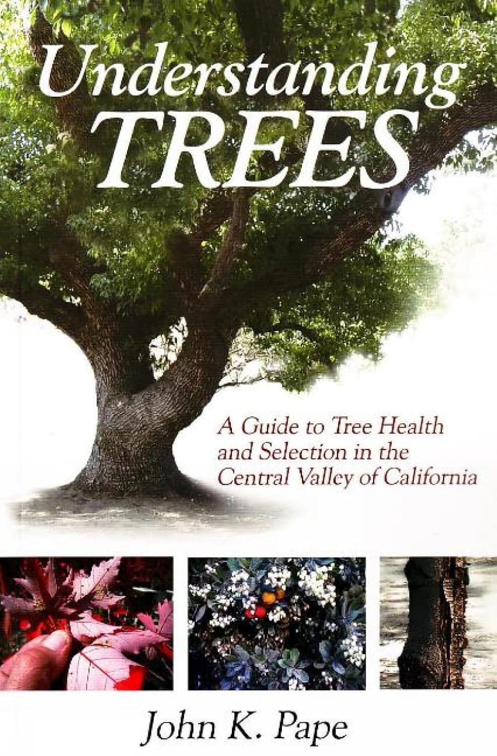 Understanding Trees: A Guide to Tree Health and Selection in the Central Valley of California baixar o livro de graça