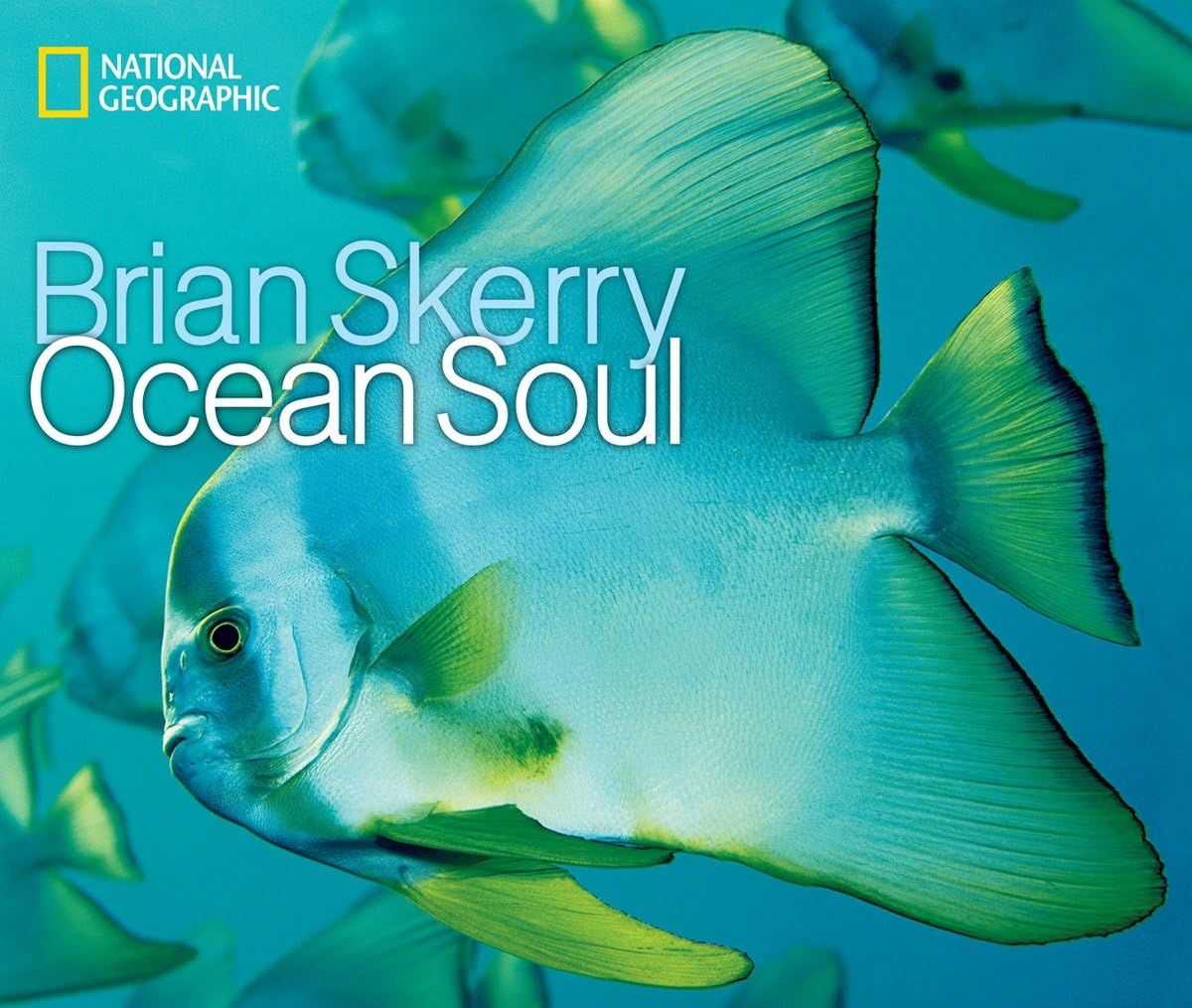 capítulo por capítulo baixar Ocean Soul