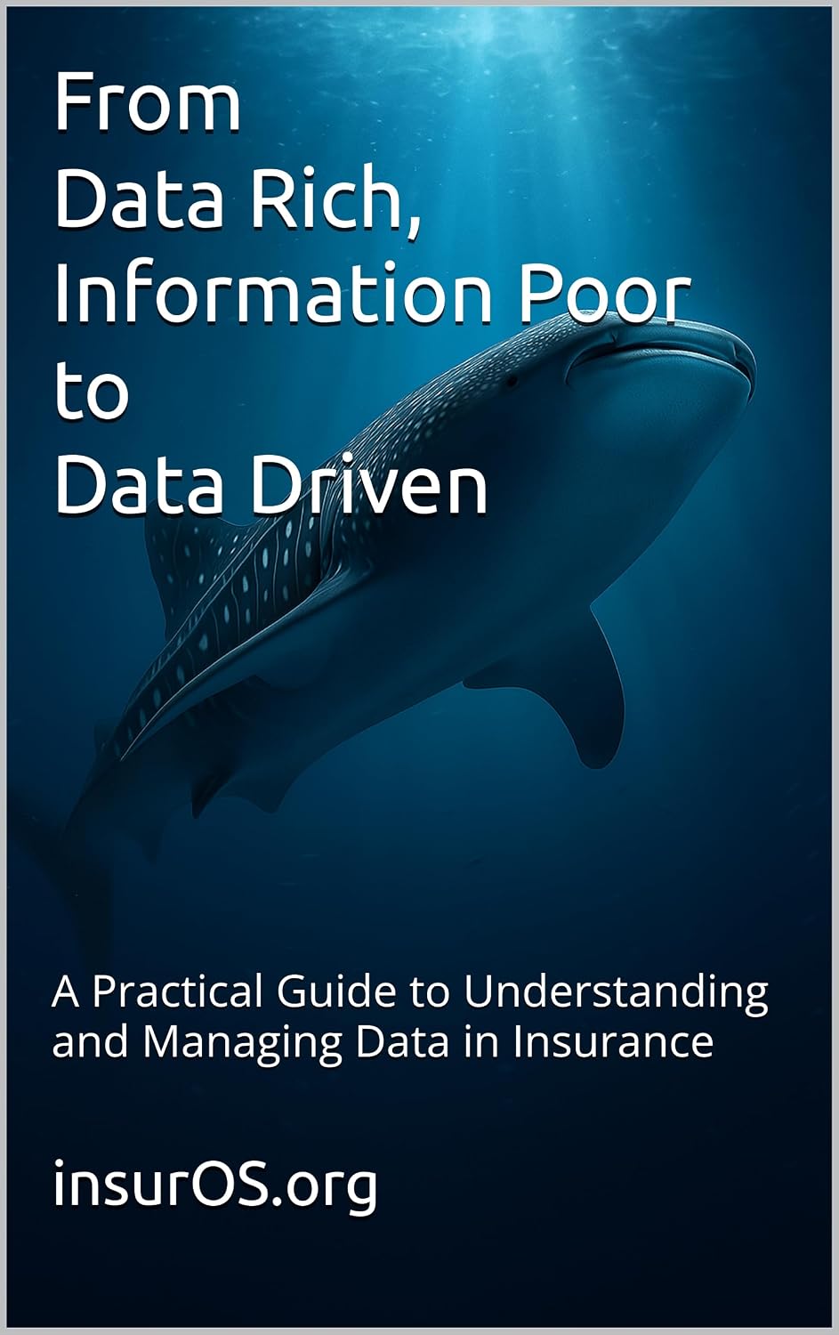 capítulo por capítulo baixar From “Data Rich, Information Poor” to Data Driven: A Practical Guide to Understanding and Managing Data in Insurance (Insurance Transformation Series Book 2) (English Edition)