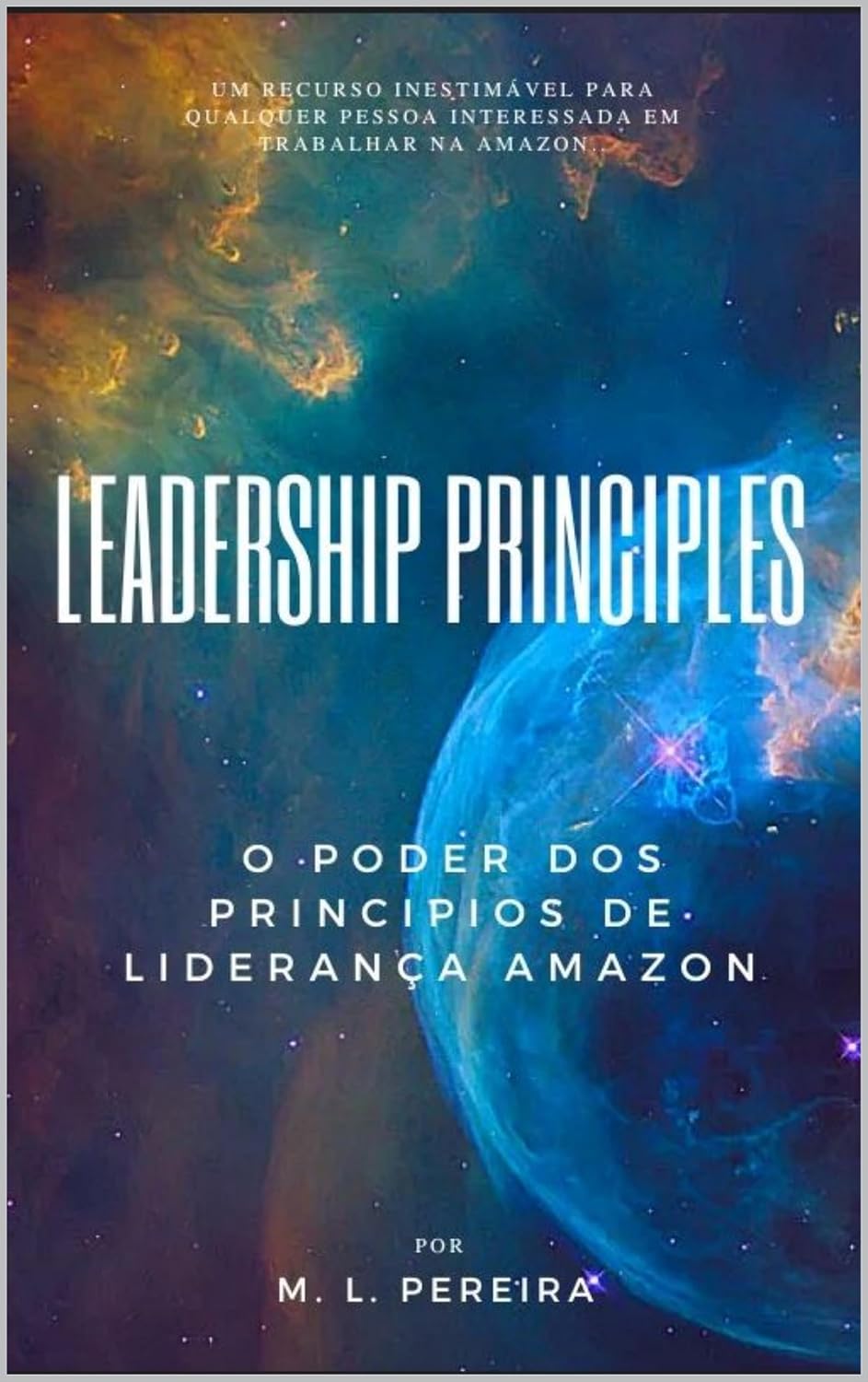 ler totalmente LEADERSHIP PRINCIPLES: O Poder dos Princípios de Liderança da Amazon