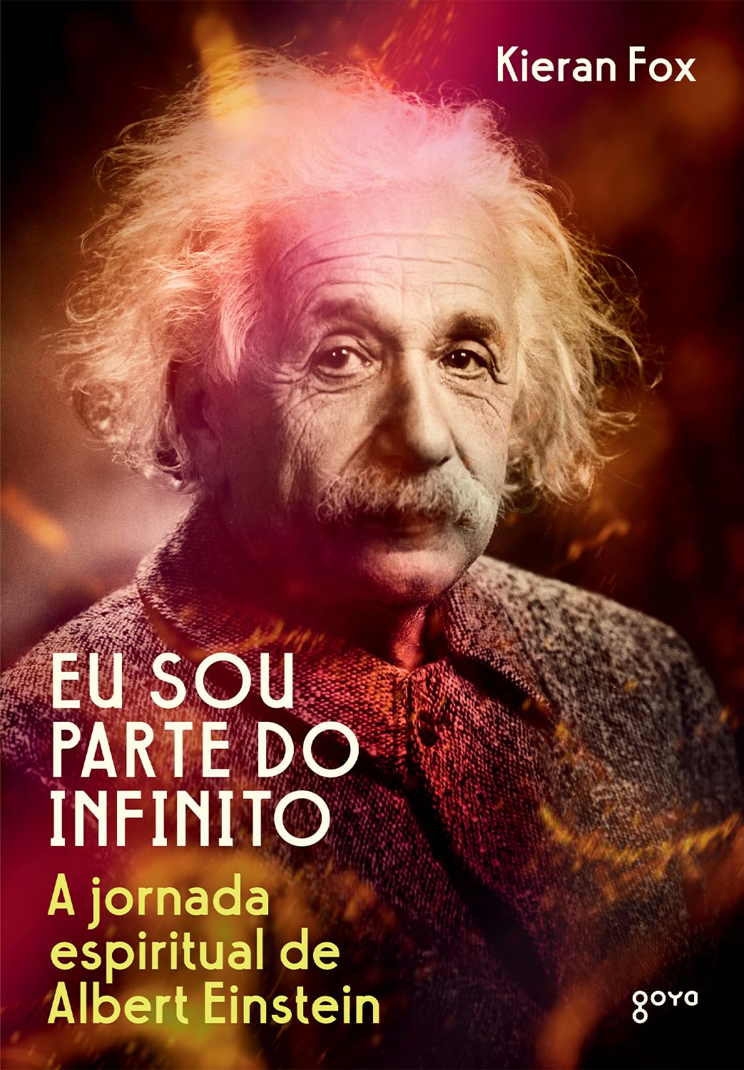 capítulo por capítulo baixar Eu sou parte do infinito: A jornada espiritual de Albert Einstein