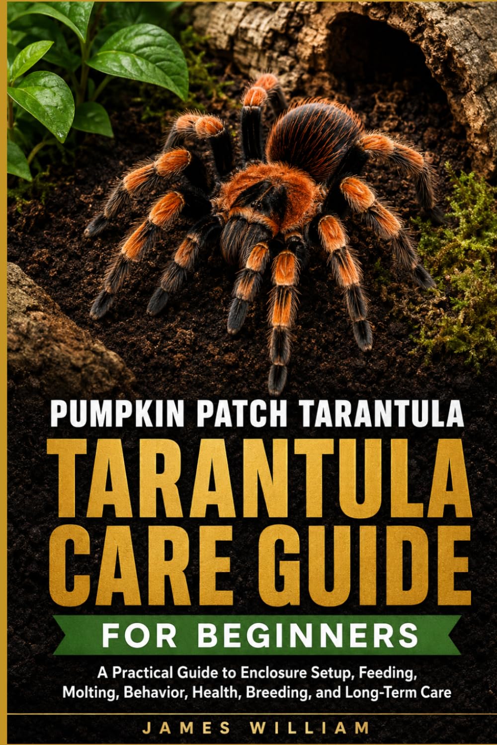 Pumpkin Patch Tarantula Care Guide for Beginners: A Practical Guide to Enclosure Setup, Feeding, Molting, Behavior, Health, Breeding, and Long-Term Care baixar livro de graça