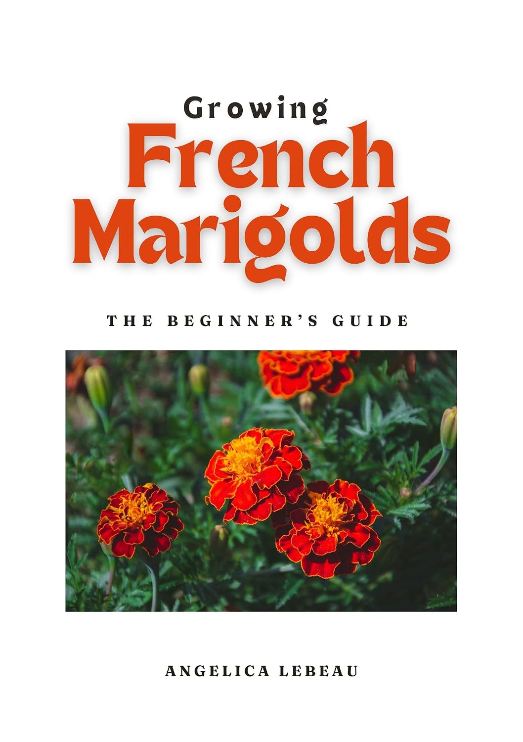 ler totalmente Growing French Marigolds: The Beginner’s Guide (Blossom Basics: Your Ultimate Guide to Flower Gardening Book 7) (English Edition)