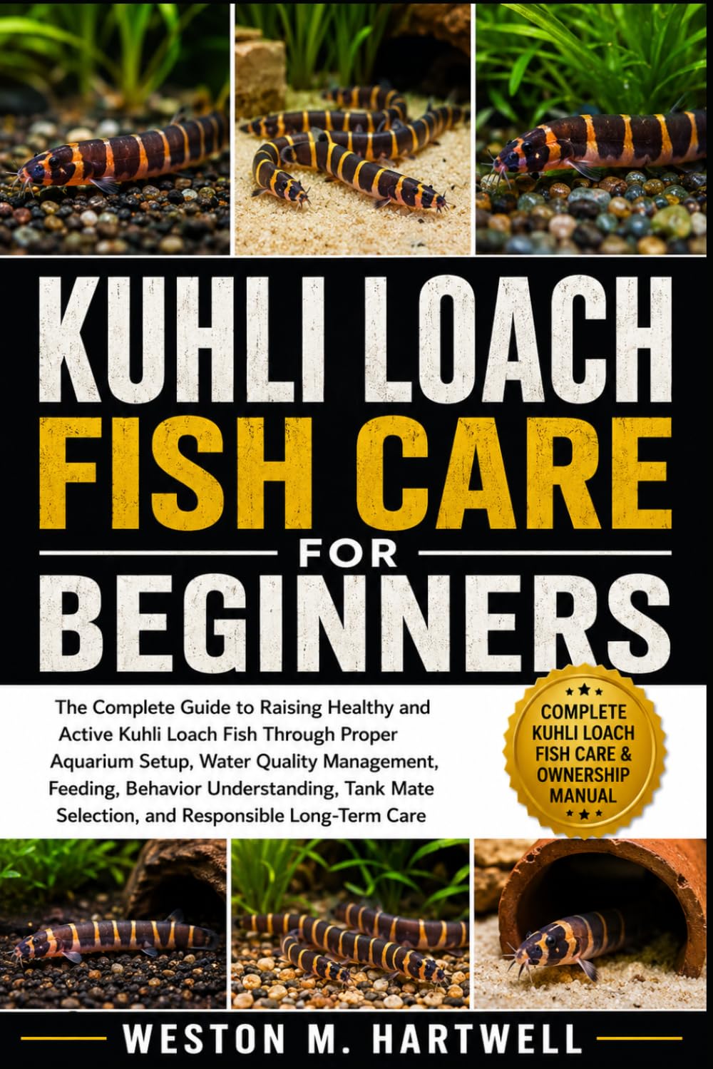Kuhli Loach Fish Care for Beginners: The Complete Guide to Raising Healthy and Active Kuhli Loach Fish Through Proper Aquarium Setup, Water Quality... Selection, and Responsible Long-Term Care baixar o livro de graça