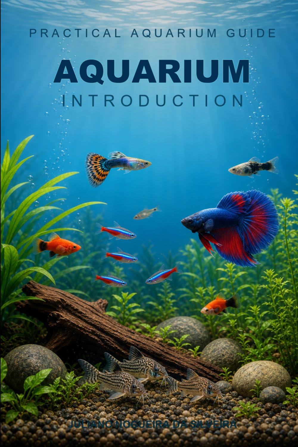 Practical Aquarium Guide: Aquarium Introduction baixar livro de graça