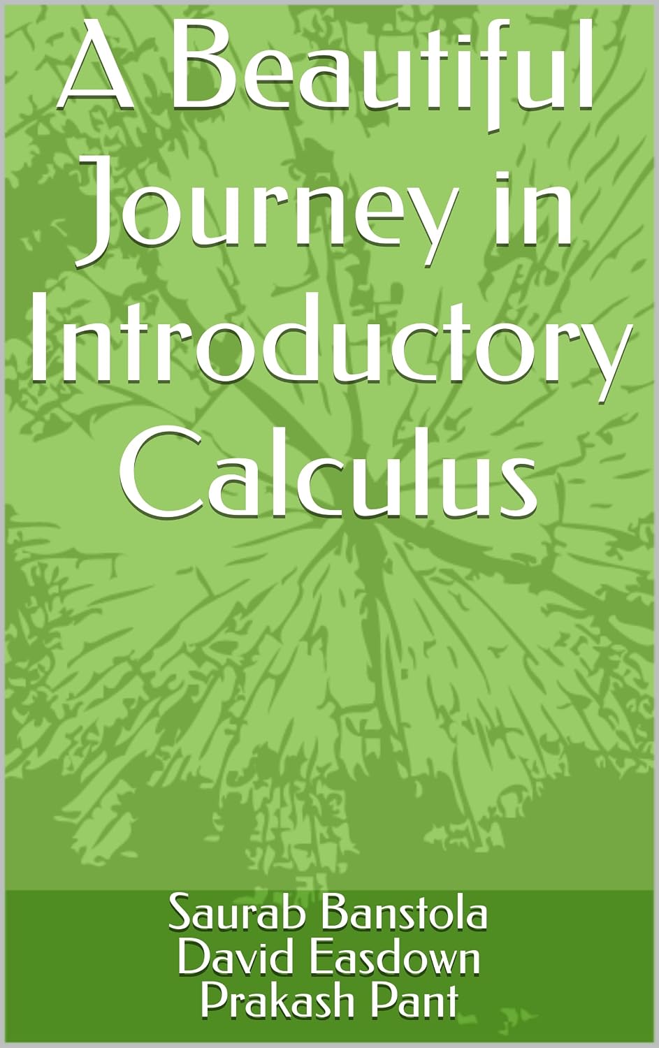 ler totalmente A Beautiful Journey in Introductory Calculus (English Edition)