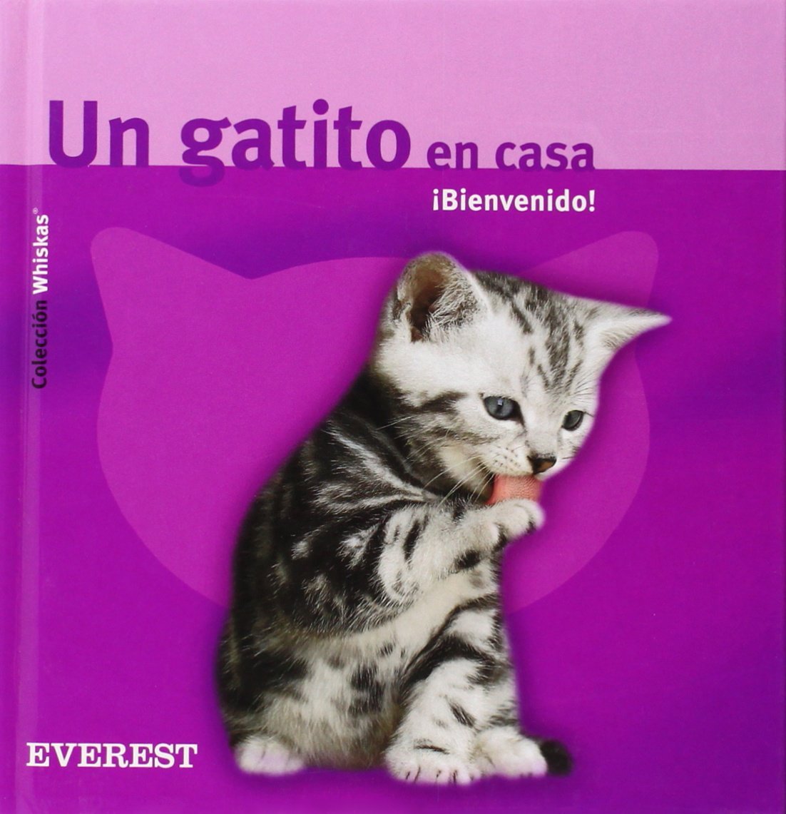 ler totalmente Un gatito en casa. ¡Bienvenido!