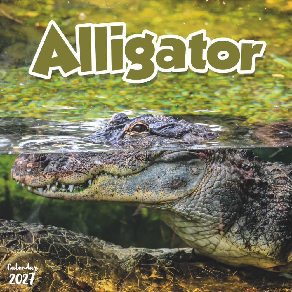 Alligators 2027 Calendar: 12 Months of Swamp Life and Reptile Power baixar o livro de graça
