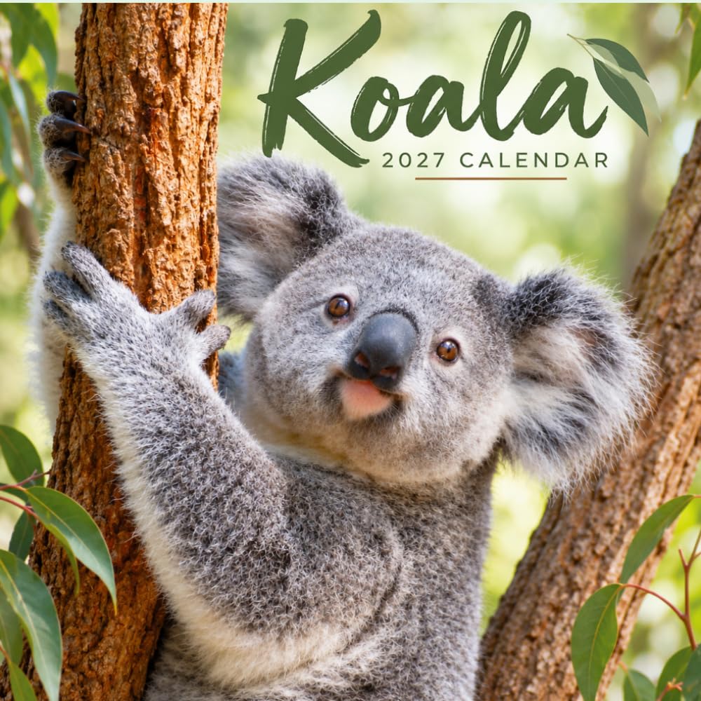 Koala Calendar 2027: Australian Marsupial Photography baixar o livro de graça