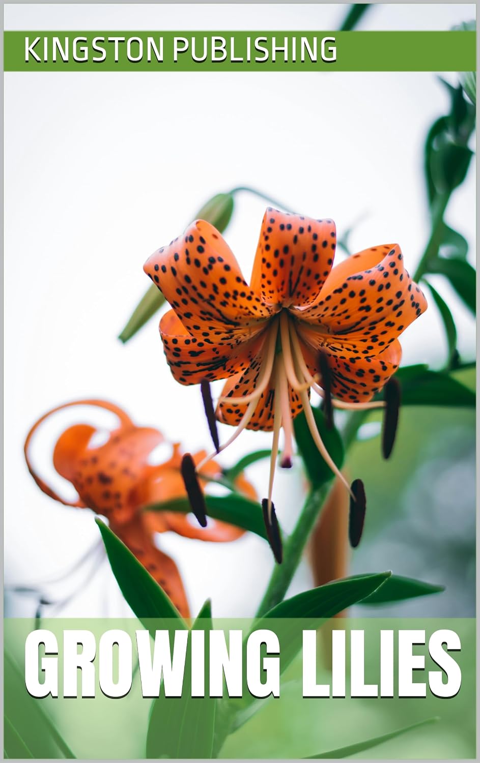 Growing Lilies (Growing Flowers) (English Edition) baixar o livro de graça