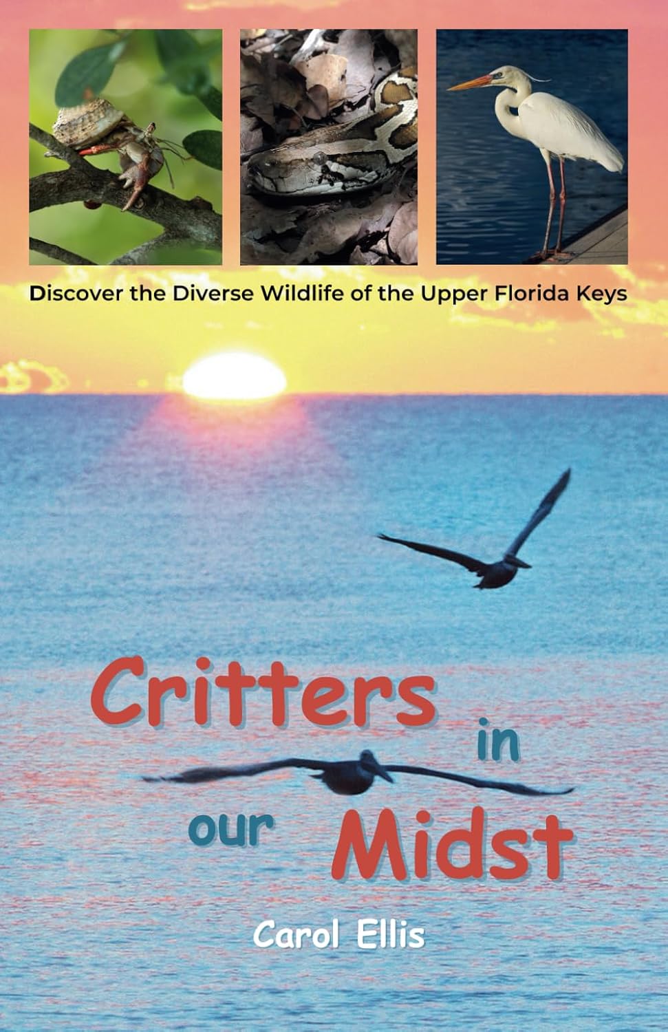 Critters in our Midst: Discover the Diverse Wildlife of the Upper Florida Keys baixar o livro de graça