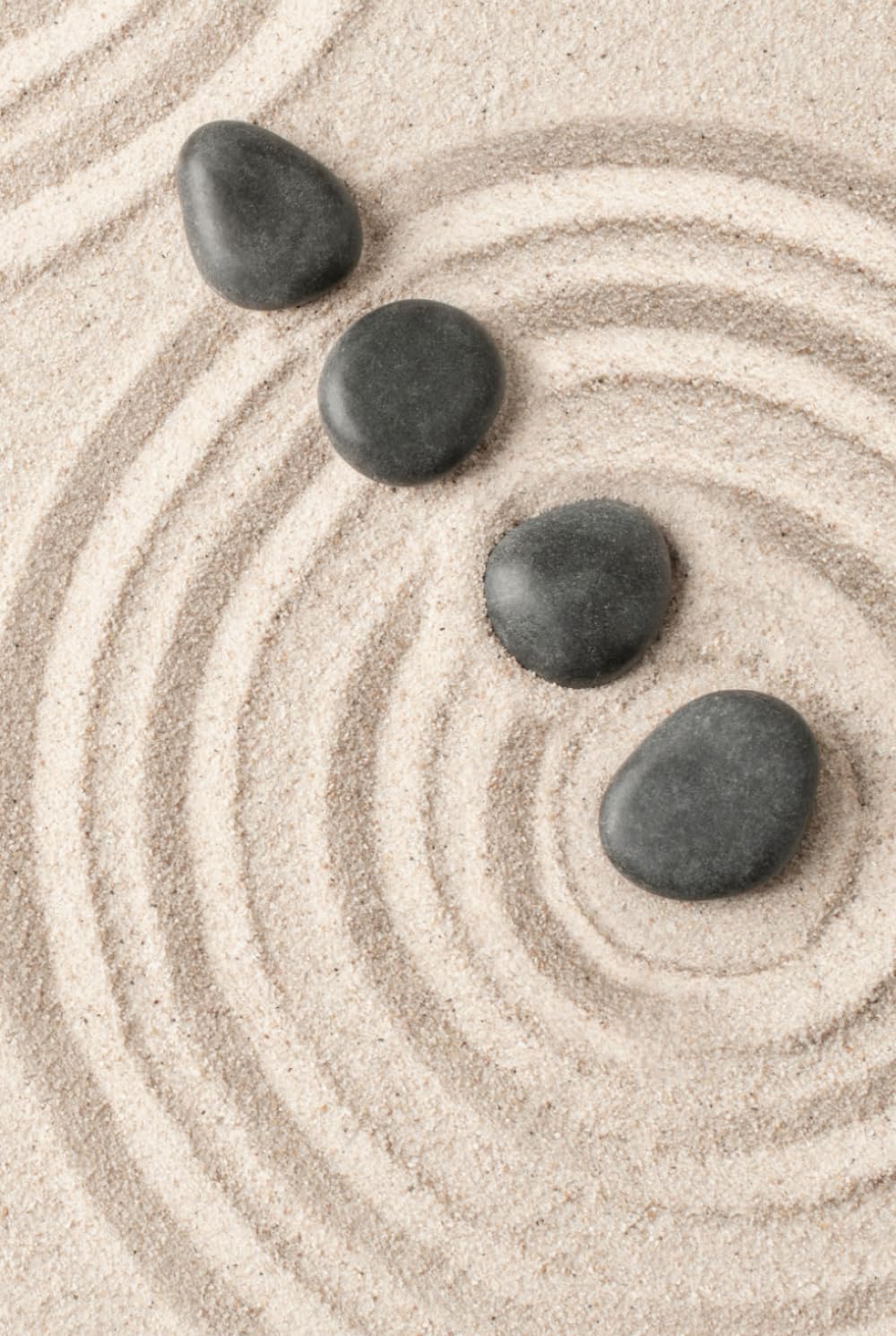 Zen Stones Journal: a GRAPH PAPER notebook for self-expression baixar livro de graça