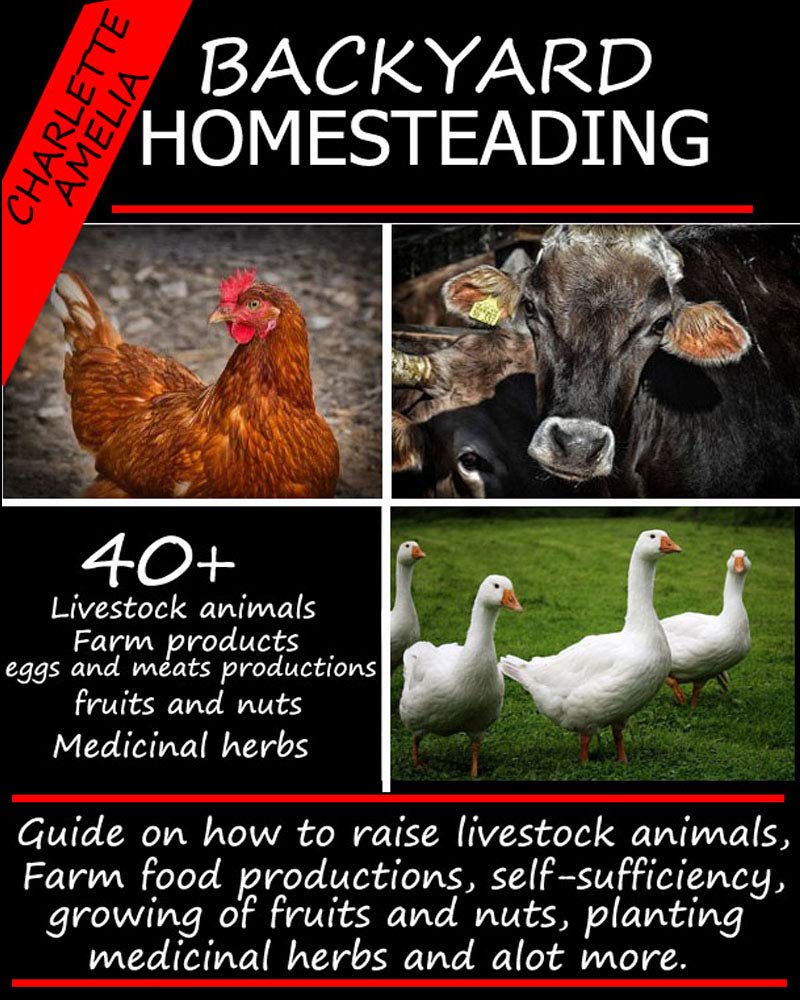 BACKYARD HOMESTEADING: Guide on how to raise Livestock animals, Farm food productions, Self-sufficiency, Growing of Fruits and Nuts, Planting Medicinal Herbs and a lot more. (English Edition) baixar livro de graça