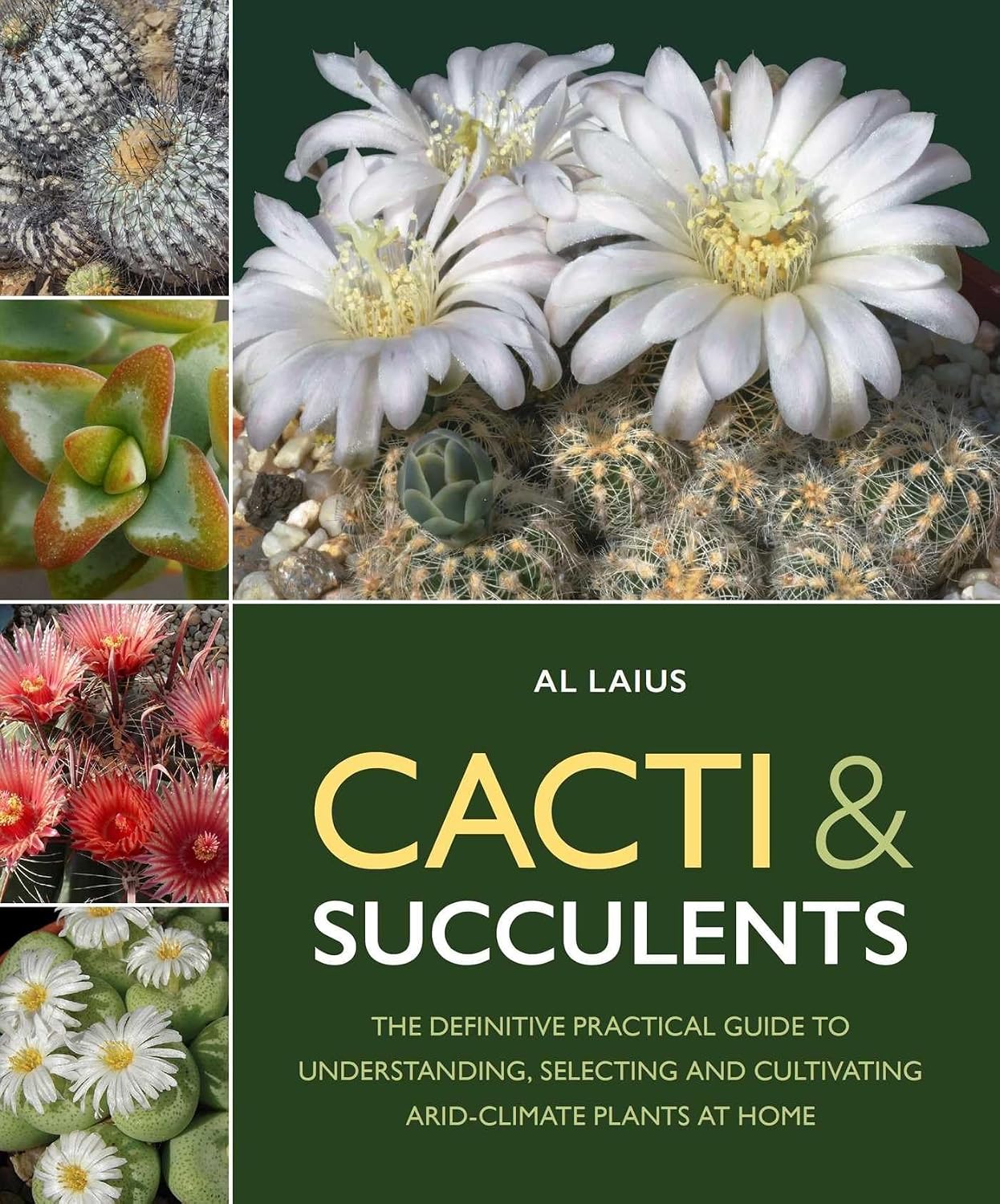 Cacti & Succulents: The Definative Practical Guide to Understanding, Selecting and Cultivating Arid-Climate Plants at Home