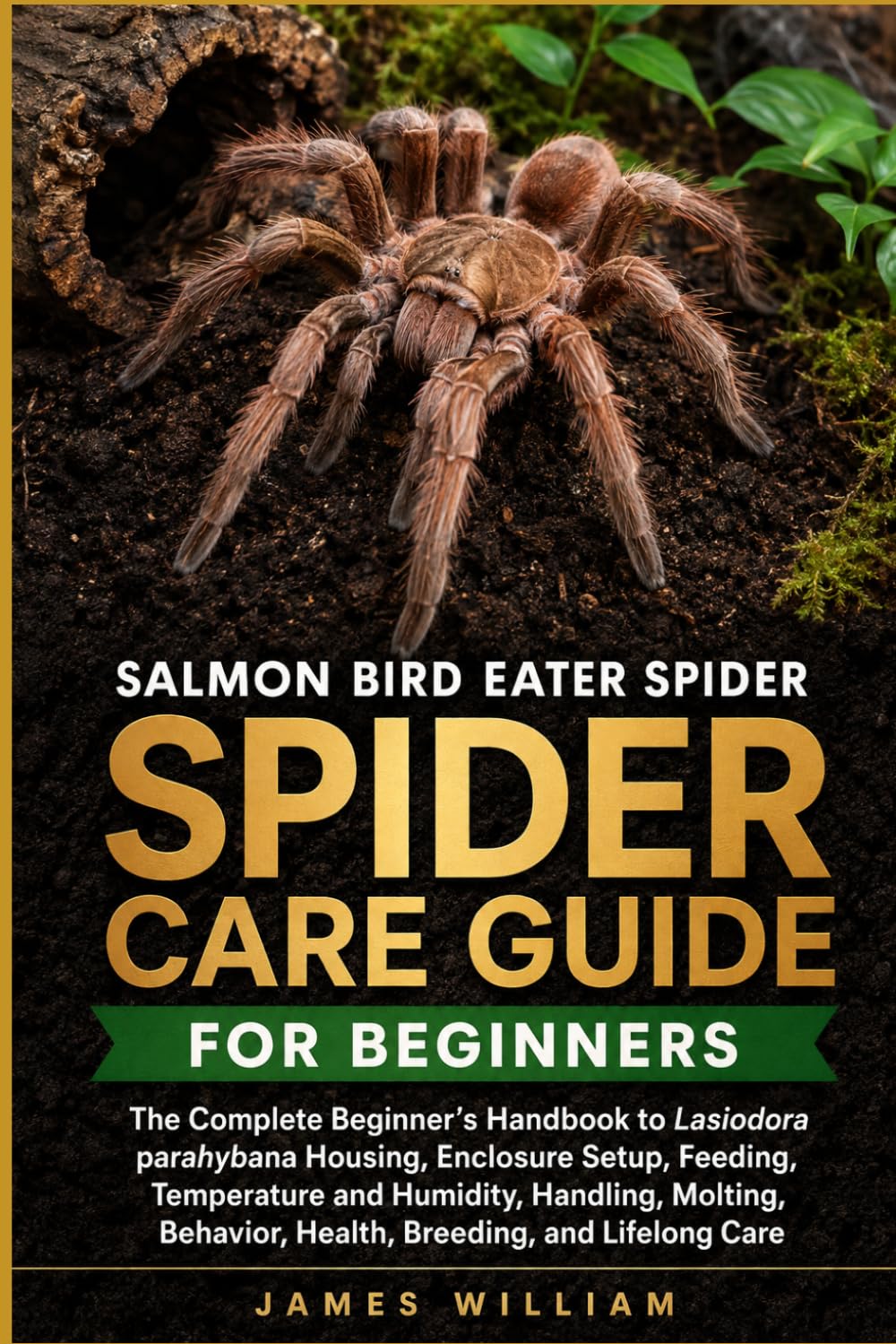 SALMON BIRD EATER SPIDER: The Complete Beginner’s Handbook to Lasiodora parahybana Housing, Enclosure Setup, Feeding, Temperature and Humidity,... Behavior, Health, Breeding, and Lifelong Care baixar livro de graça