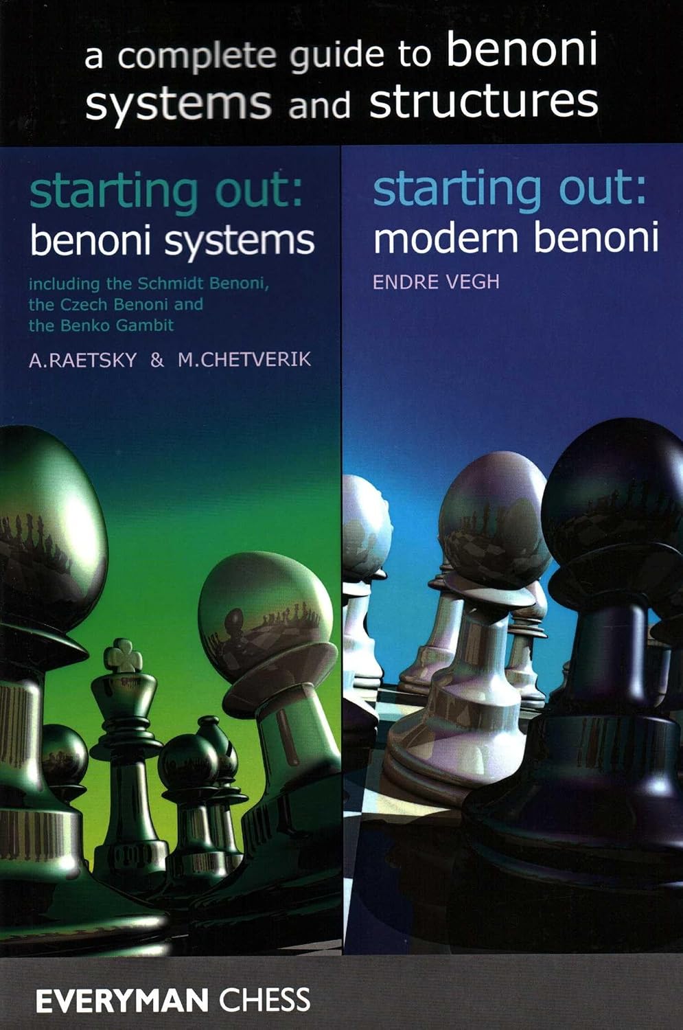 Complete Guide to Benoni Systems and Structures: Starting Out: Benoni Systems / Starting Out: Modern Benoni baixar o livro de graça
