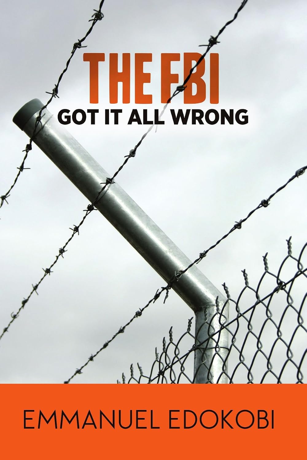 The F.B.I. Got It All Wrong baixar livro de graça
