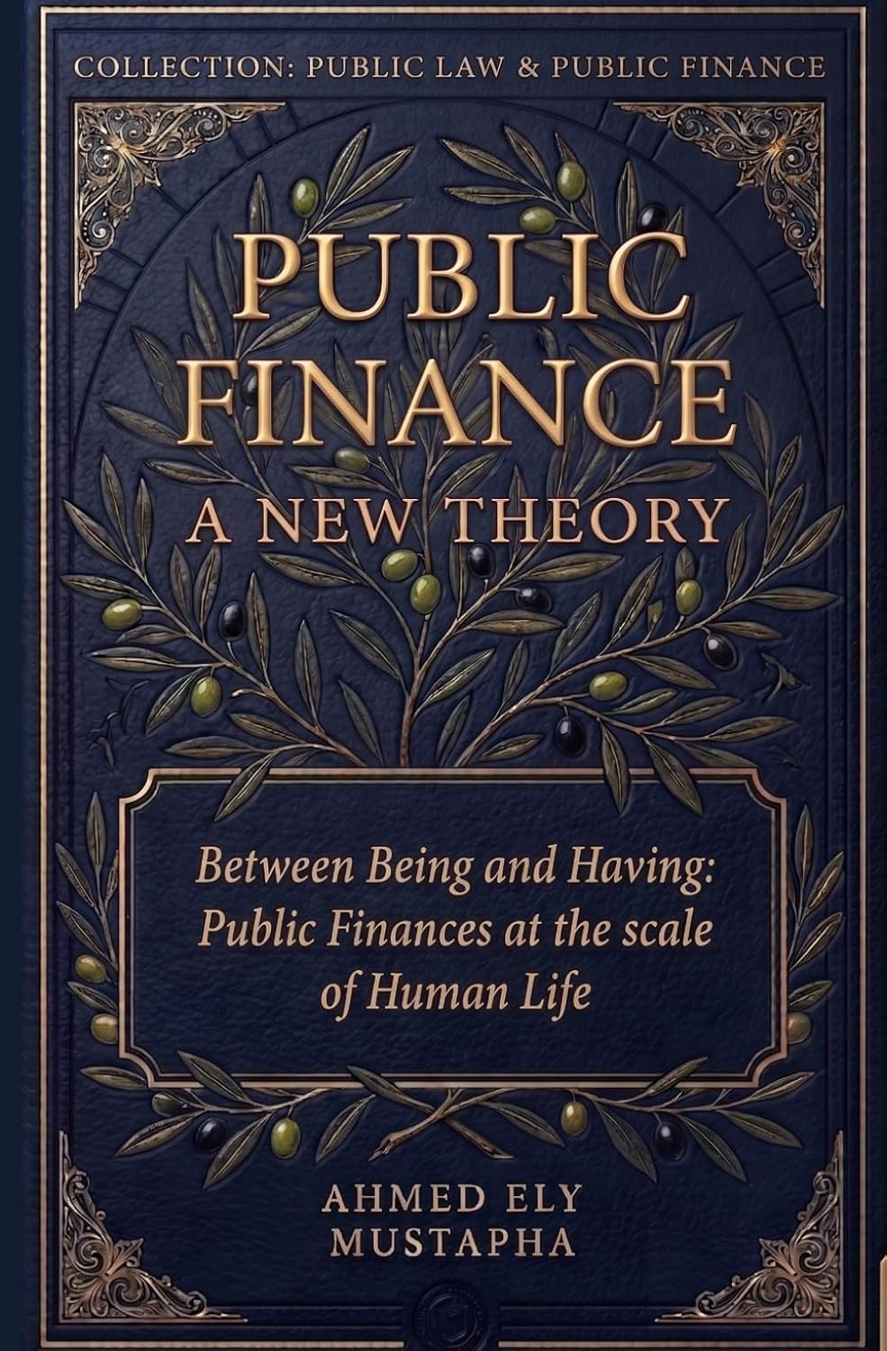 capítulo por capítulo baixar Public Finance: A new theory