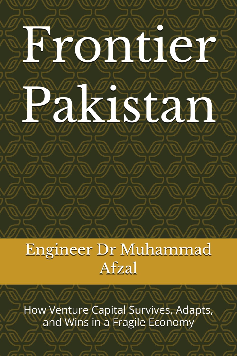 capítulo por capítulo baixar Frontier Pakistan: How Venture Capital Survives, Adapts, and Wins in a Fragile Economy