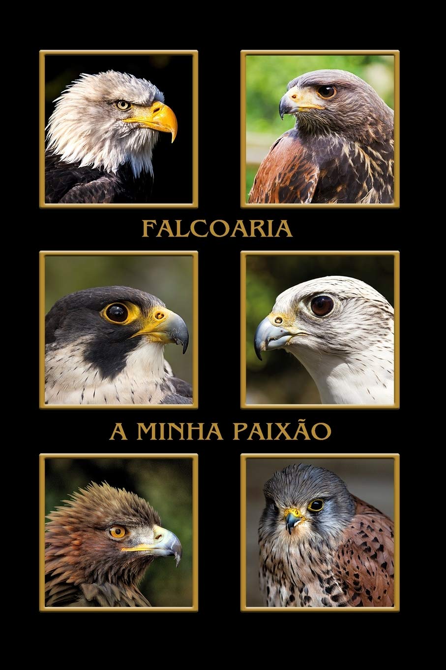 Falcoaria minha paixão: Águias e falcões, abutres, aves de rapina. Formato A5, 120 páginas, cinza discreto alinhado. Entradas diárias, notas e diário,... o falcoeiro, amigos da natureza e aves. baixar o livro de graça