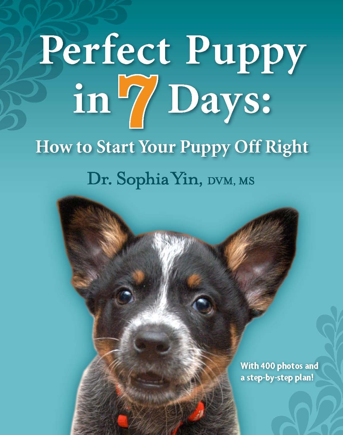 Perfect Puppy in 7 Days: How to Start Your Puppy Off Right (English Edition) baixar livro de graça