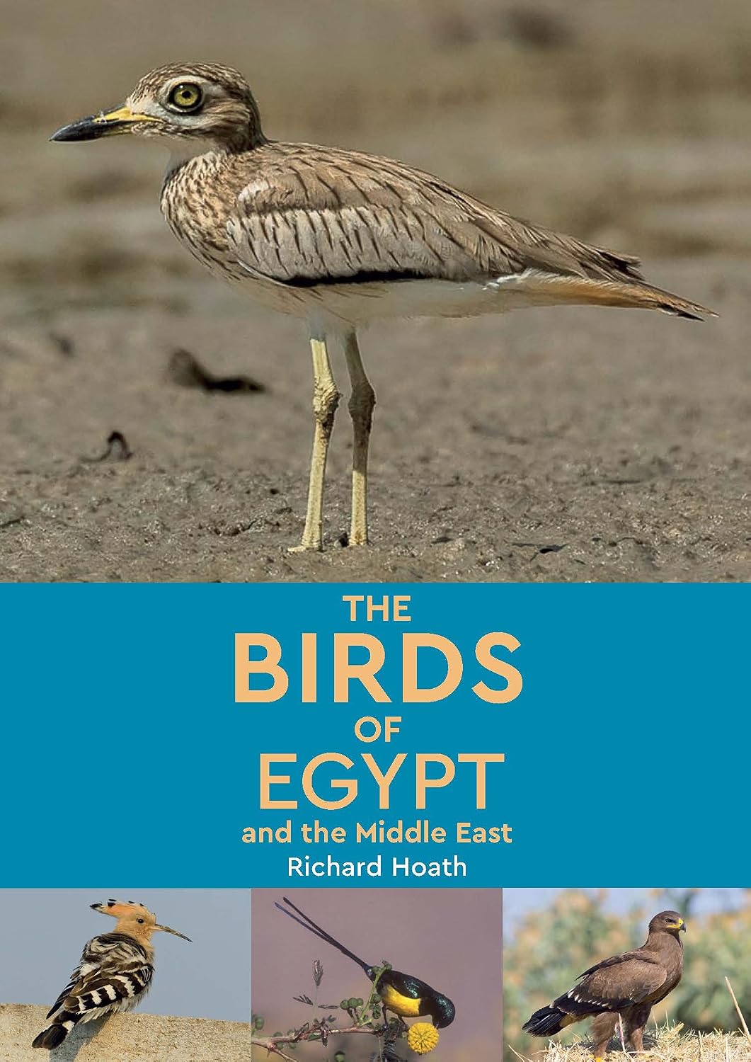 ler totalmente The Birds of Egypt and the Middle East (English Edition)