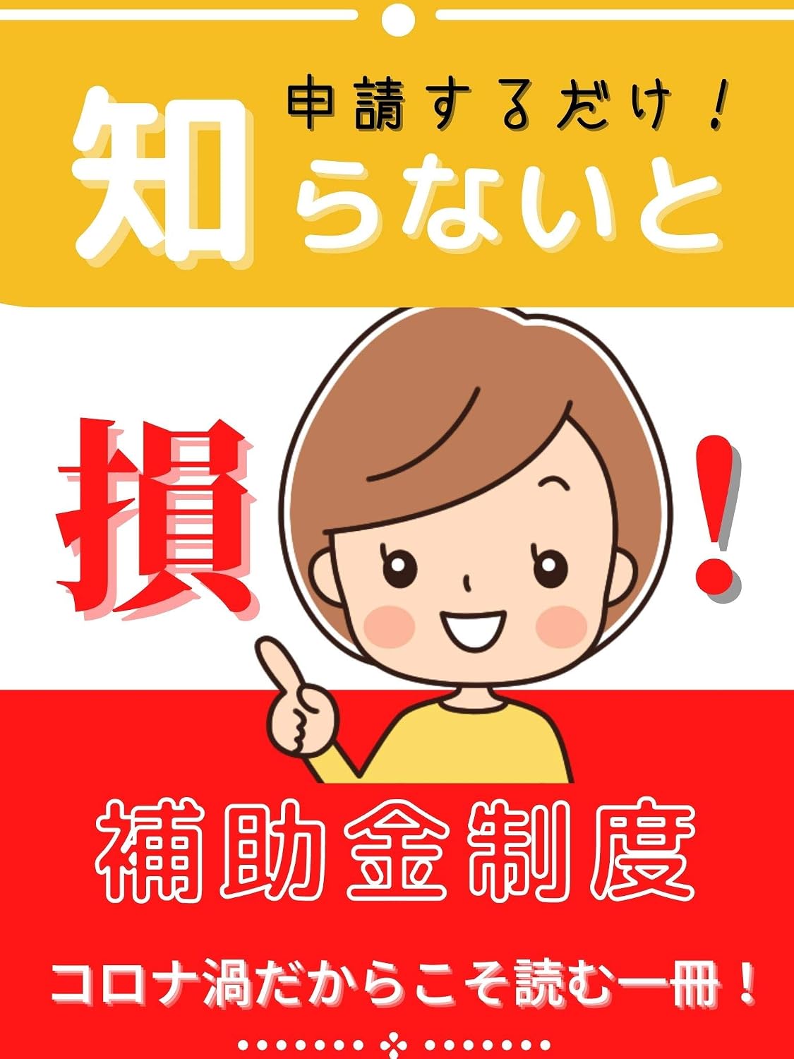 siranaitoson hojyokinseido (Japanese Edition) baixar livro de graça