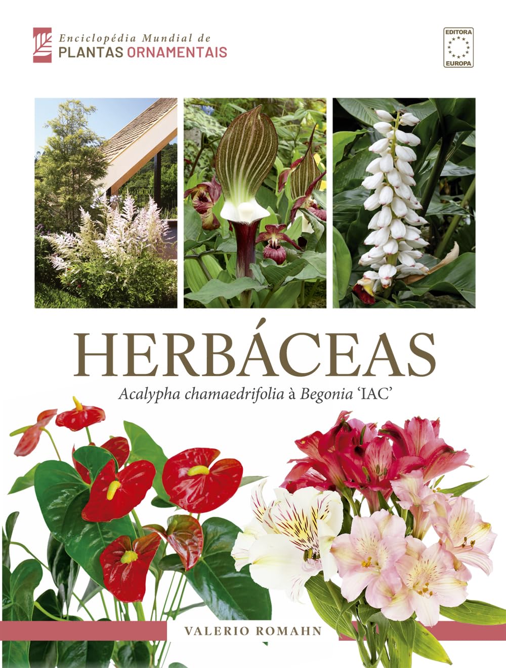 Enciclopédia Mundial de Plantas Ornamentais - Herbáceas: Acalypha chamaedrifolia à Begonia 'IAC' baixar livro de graça