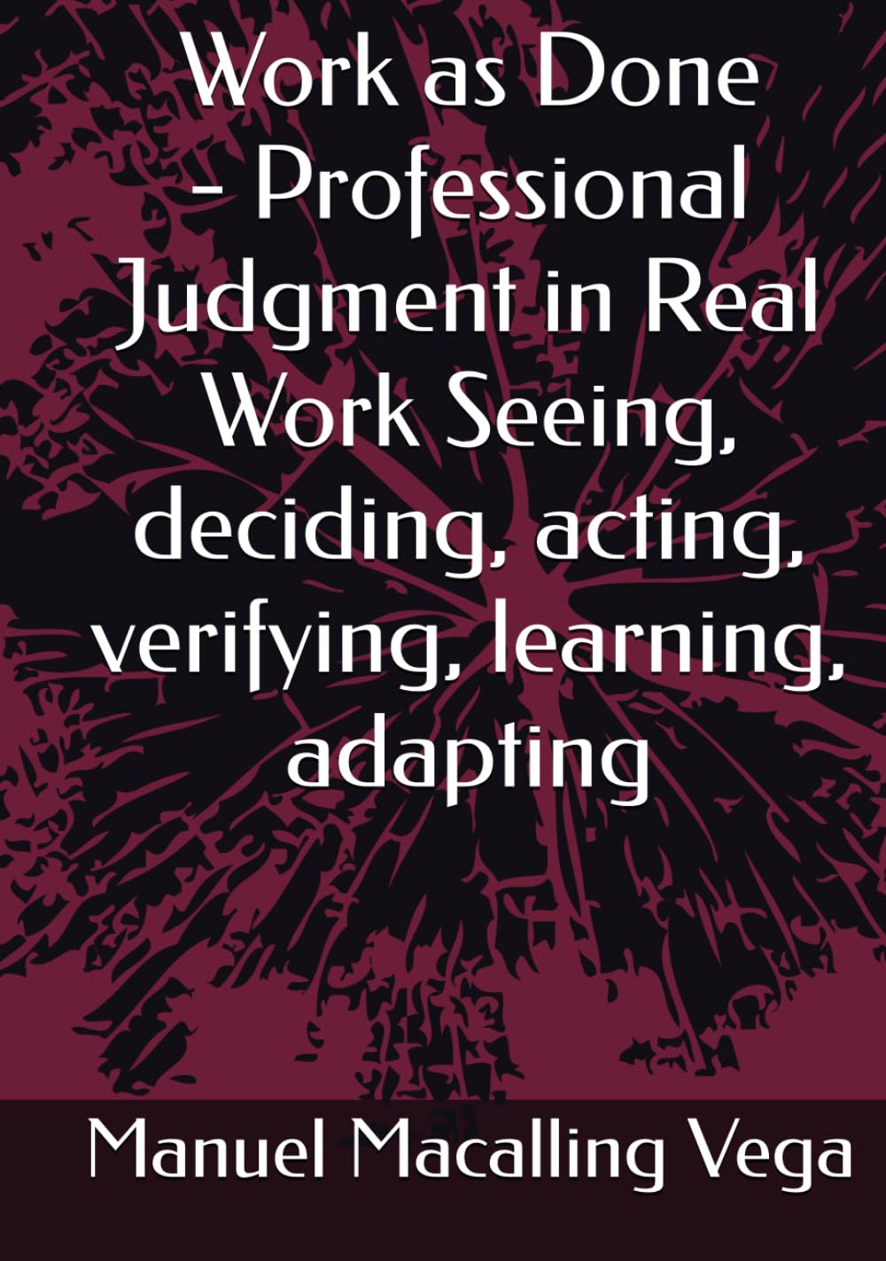 Work as Done - Professional Judgment in Real Work Seeing, deciding, acting, verifying, learning, adapting baixar o livro de graça