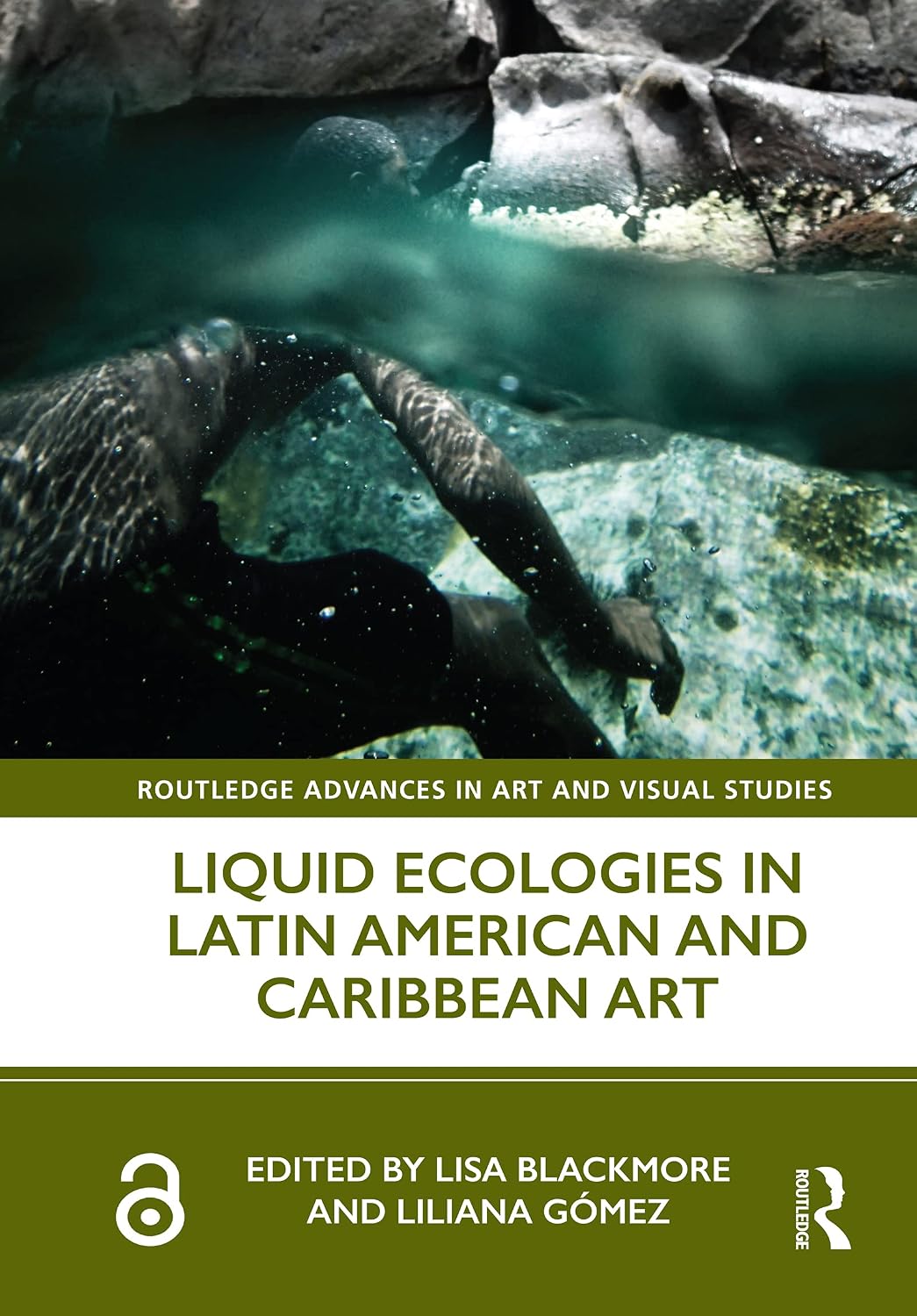 Liquid Ecologies in Latin American and Caribbean Art (Routledge Advances in Art and Visual Studies) (English Edition) baixar o livro de graça