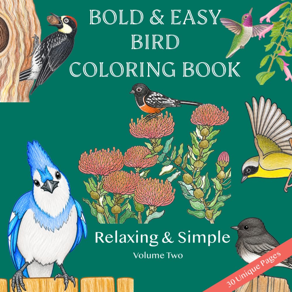 ler totalmente Bold & Easy Bird Coloring Book Volume Two: Easy Large Bird Coloring Pages for Adults, Seniors, Teens, and Kids, Relaxing Fun Stress Relief for All Ages