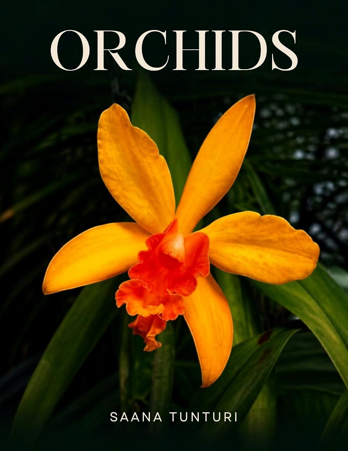 ler totalmente ORCHIDS: The Orchid Enigma: Unraveling Their Mysteries Across Civilizations and A Step-by-Step Guide to Growing Them Successfully (English Edition)