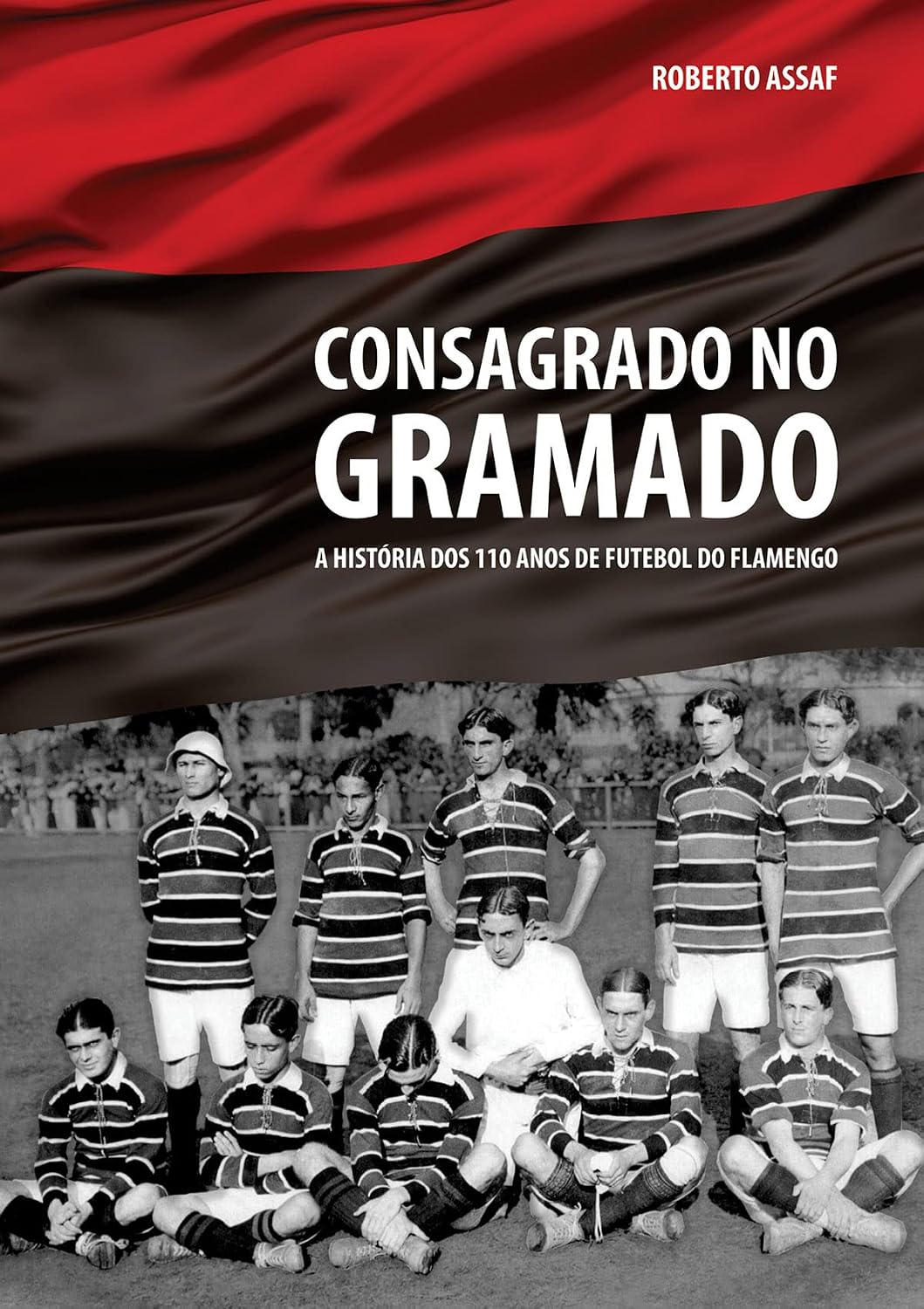Consagrado no Gramado; A História dos 110 anos do Futebol do Flamengo baixar livro de graça