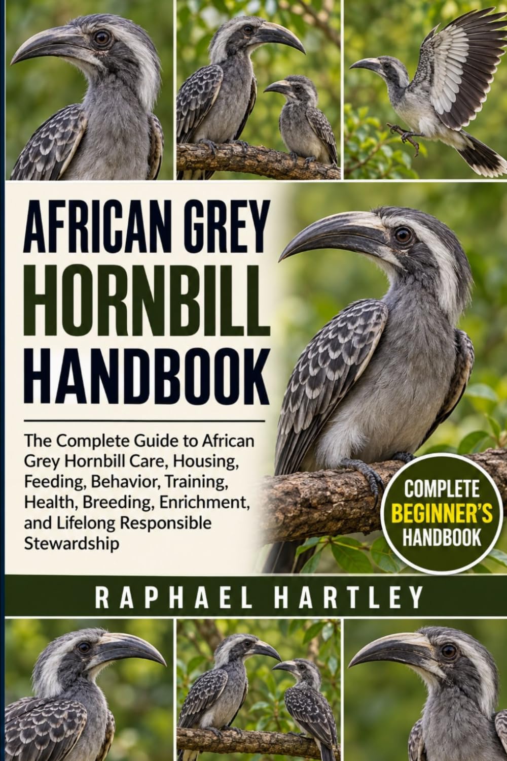 AFRICAN GREY HORNBILL HANDBOOK: The Complete Guide to African Grey Hornbill Care, Housing, Feeding, Behavior, Training, Health, Breeding, Enrichment, and Lifelong Responsible Stewardship baixar livro de graça