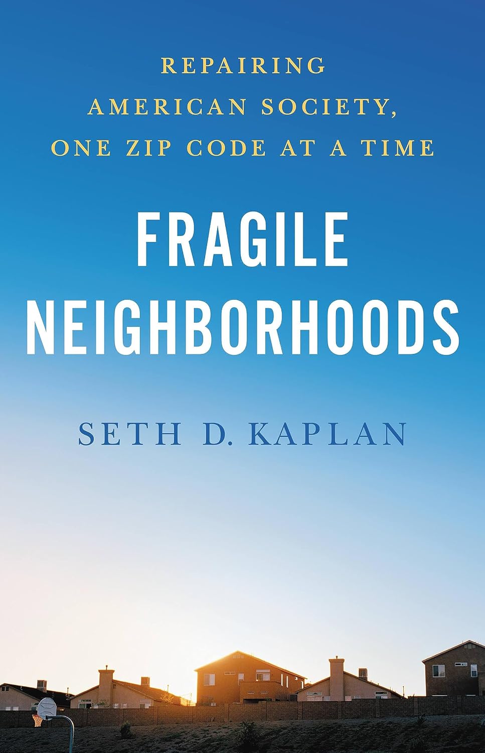 Fragile Neighborhoods: Repairing American Society, One Zip Code at a Time baixar o livro de graça