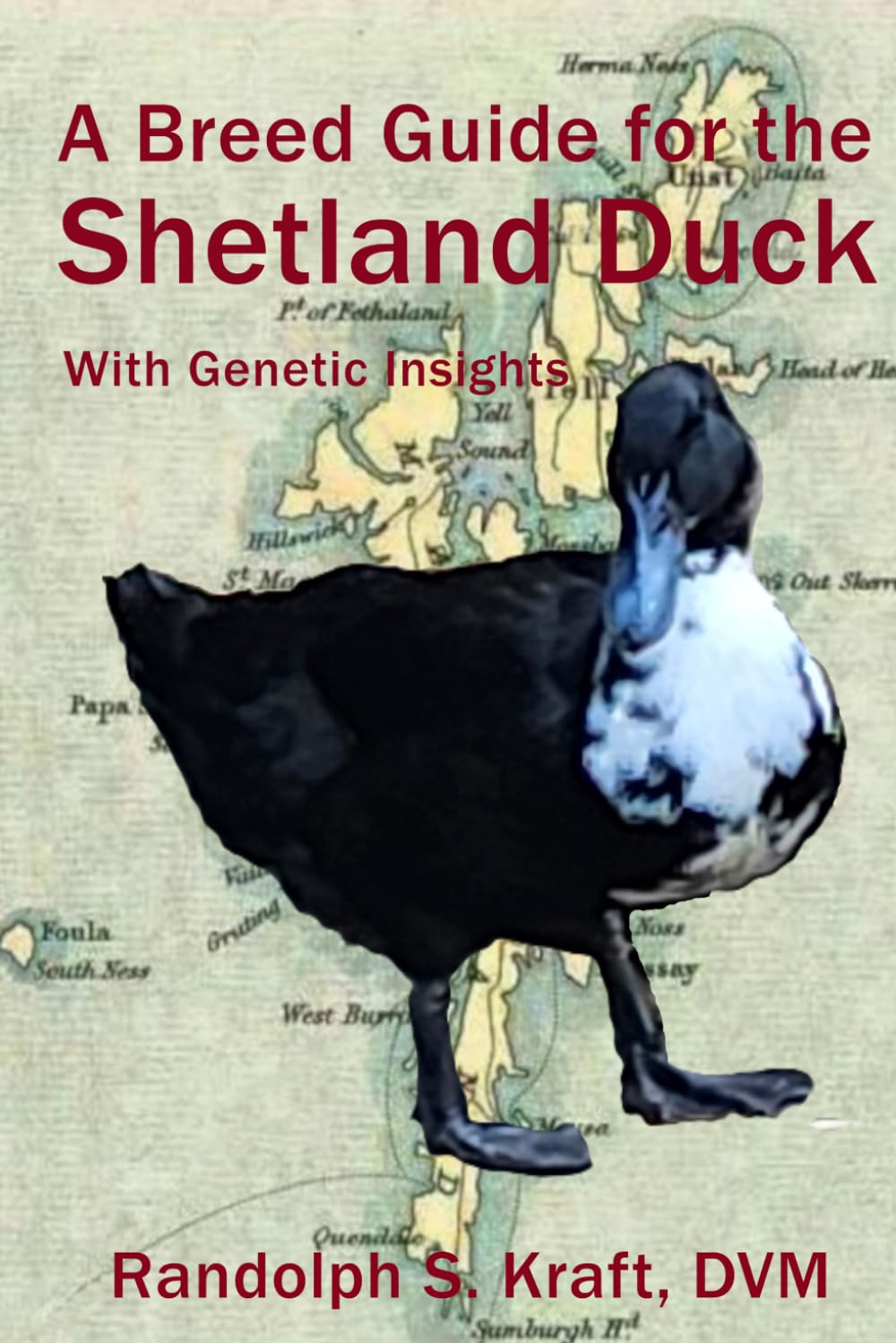 ler totalmente A Breed Guide for the Shetland Duck: With Genetic Insights