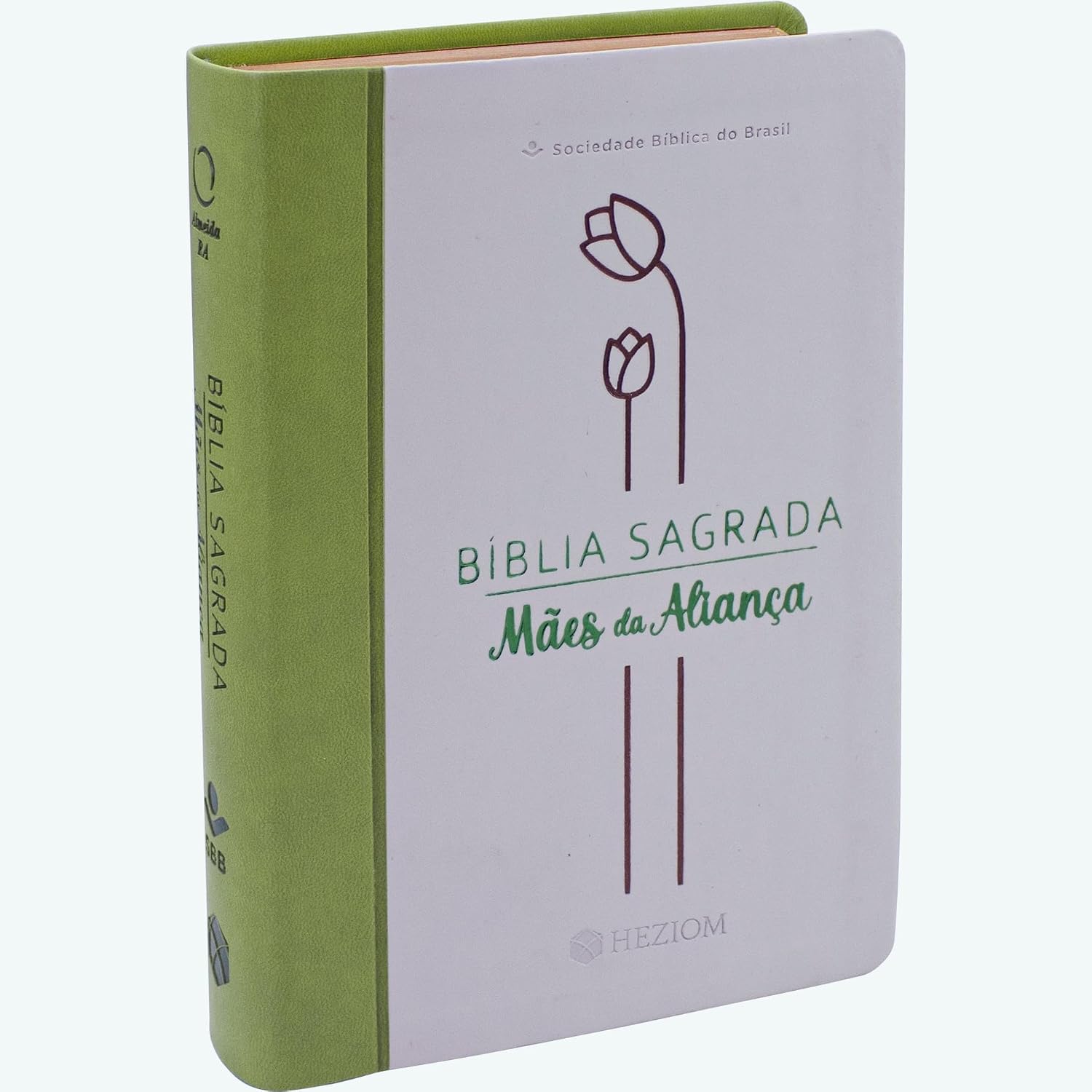 Bíblia Mães da Aliança ARA, Letra Regular, com mapa, Capa Couro Sintético Verde e Bege: Almeida Revista e Atualizada (ARA) baixar livro de graça