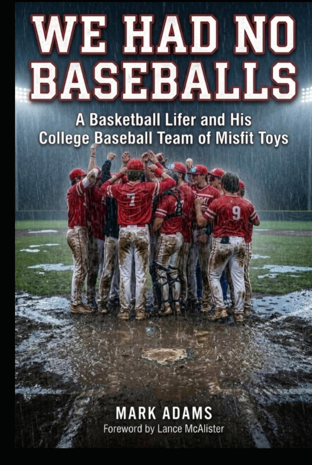 WE HAD NO BASEBALLS: A Basketball Lifer and His College Baseball Team of Misfit Toys baixar o livro de graça