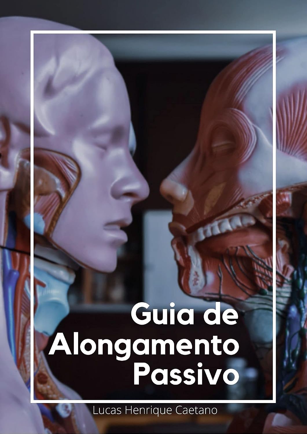 Guia de Alongamento Passivo: Um guia desenvolvido para auxiliar o estudante de Fisioterapia baixar livro de graça