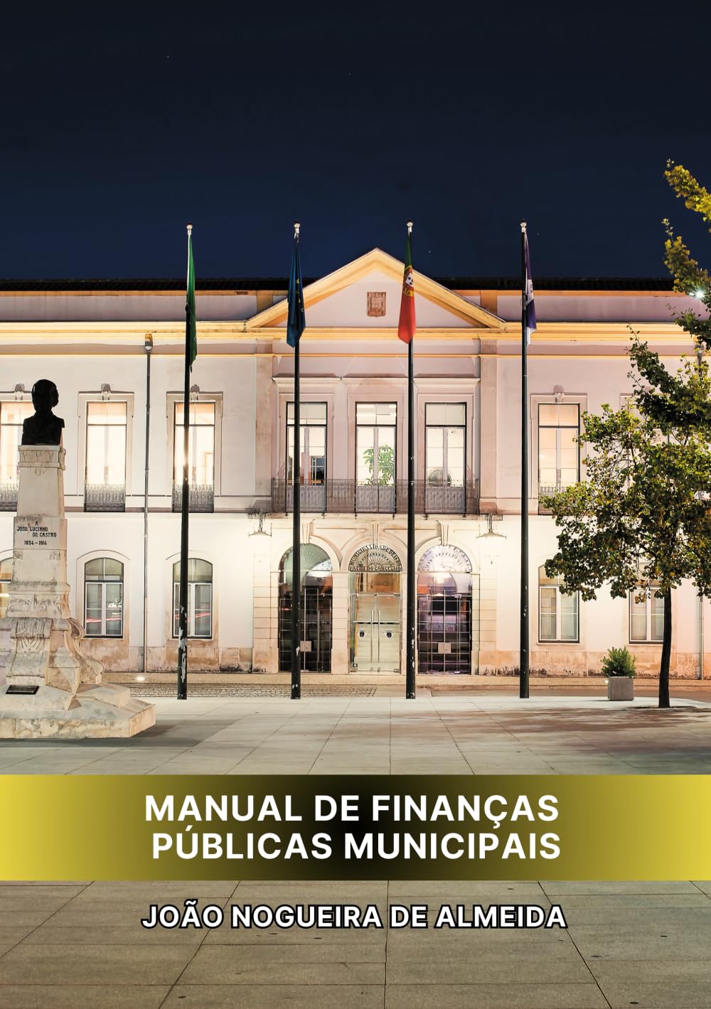 Manual de Finanças Públicas Municipais (Portuguese Edition) baixar livro de graça