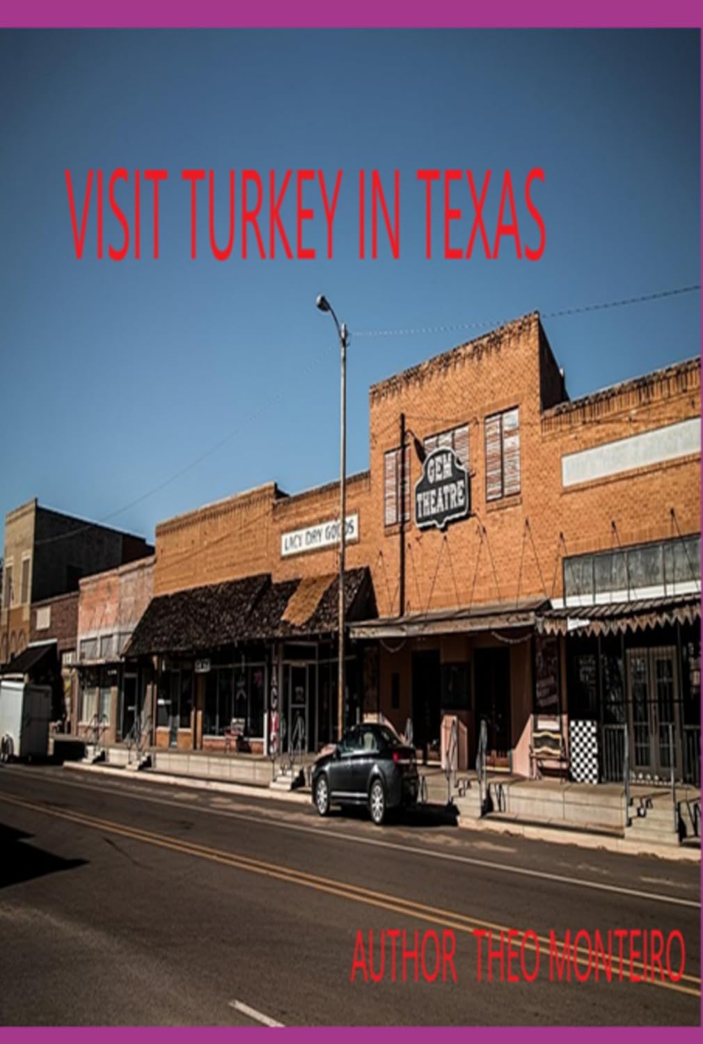 Visit Turkey In Texas! (English Edition)